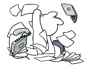 What’s Always Included